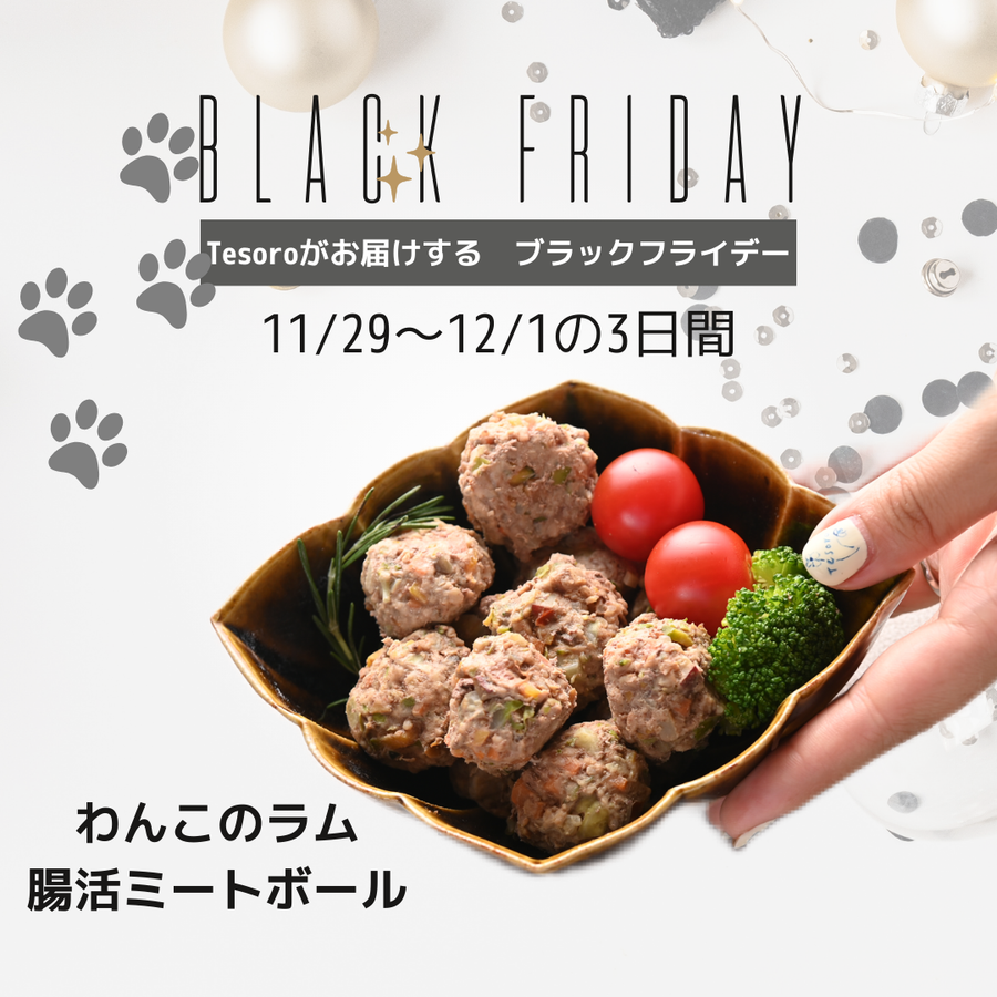 【Black Friday】わんこのためのミートボール10粒！