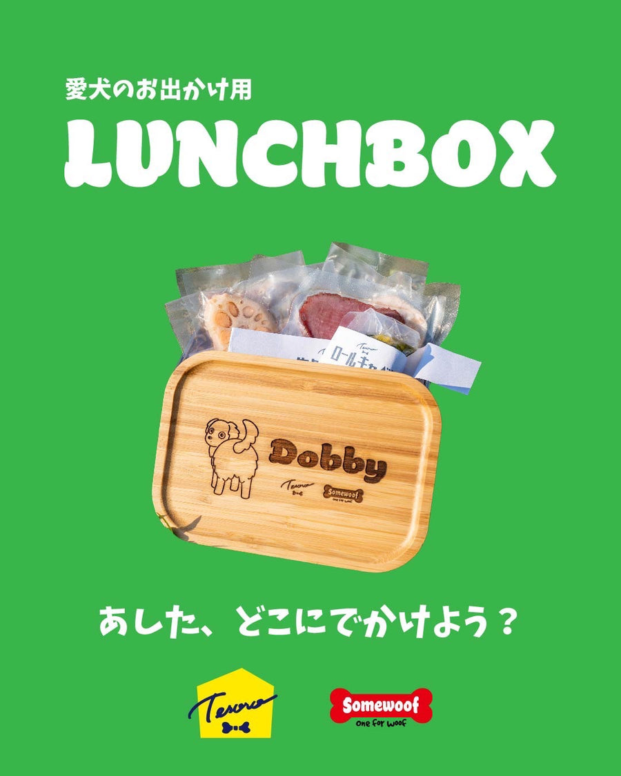 【Tesoro×Somewoof】愛犬お出かけ用LUNCH BOX